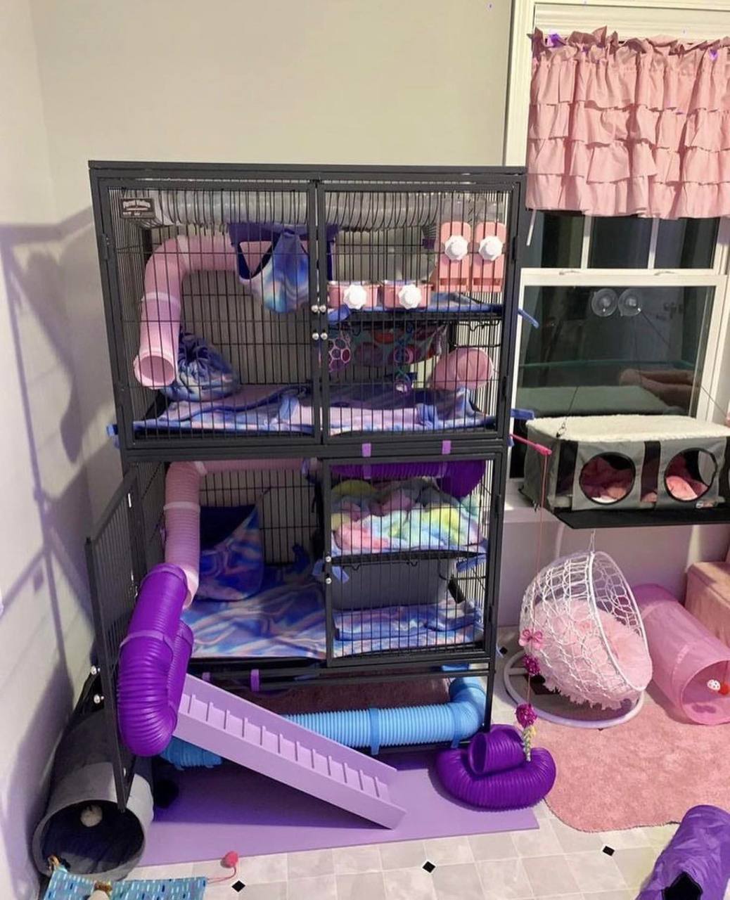 Ferret Cage Included With Adoption